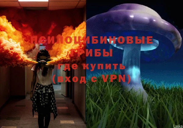 mdpv Протвино