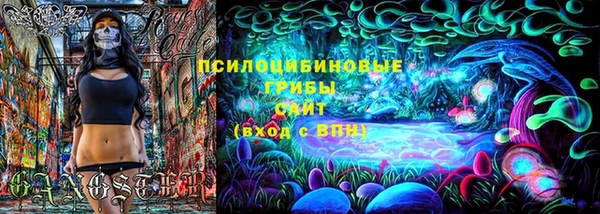 mdpv Протвино