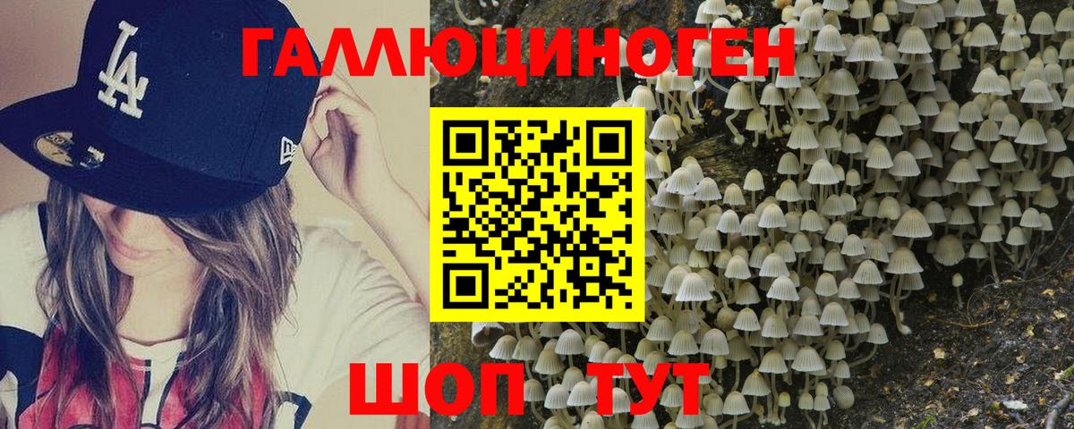 Галлюциногенные грибы Cubensis  Вход с VPN  Азнакаево 
