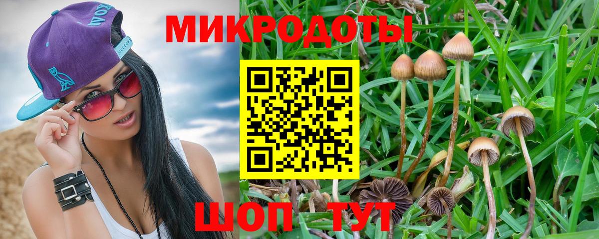 Псилоцибиновые грибы ЛСД Азнакаево